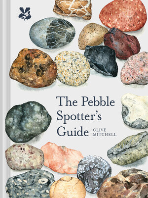 cover image of The Pebble Spotter's Guide